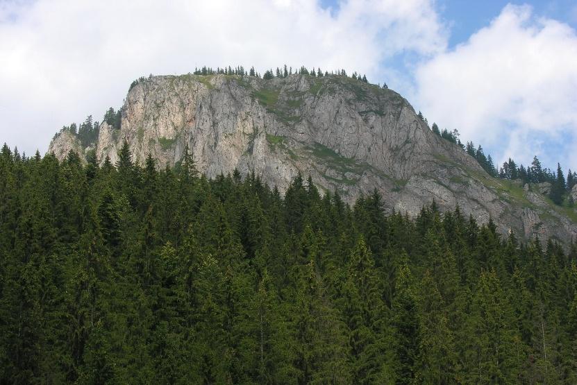 Kis-Cohárd