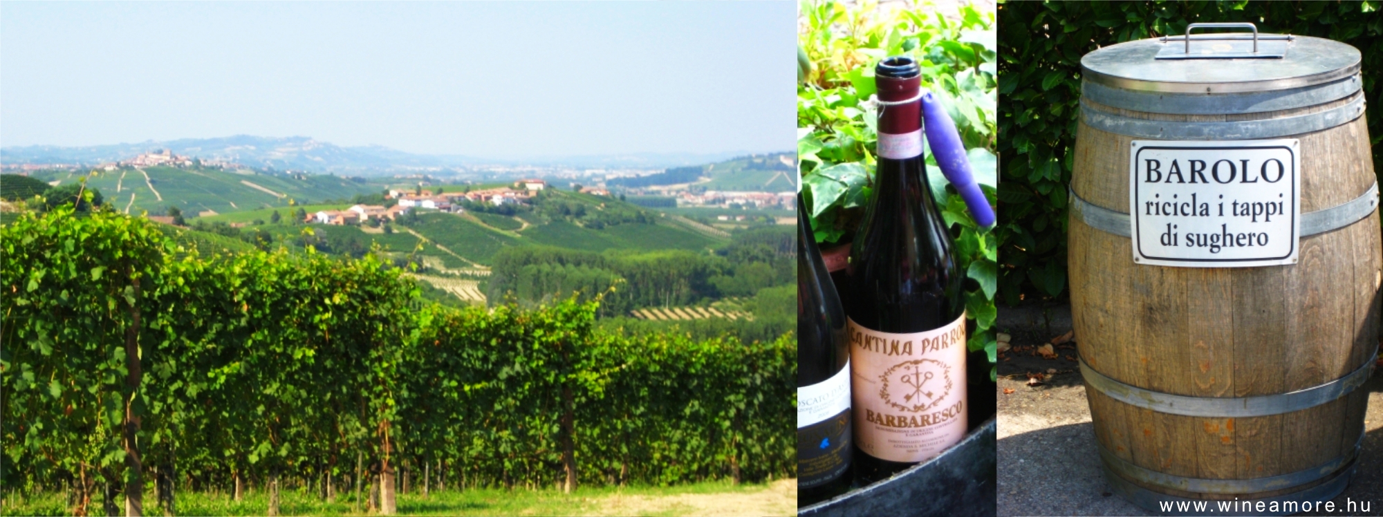 Piemonti gasztro- és bortúra